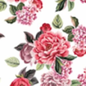 Meet your Posher, Shelby